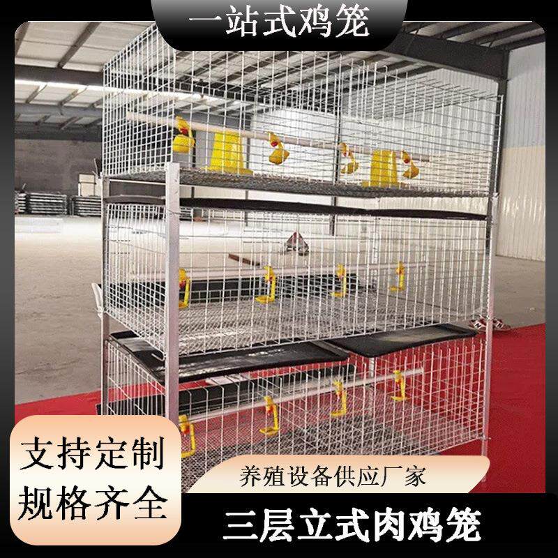 三层立式蛋鸡笼肉鸡笼用立式鸽子笼养殖育雏养殖场喂料肉鸡笼