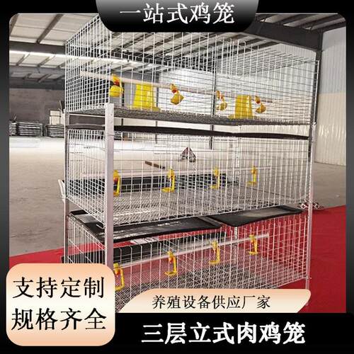 三层立式蛋鸡笼肉鸡笼用立式鸽子笼养殖育雏养殖场喂料肉鸡笼