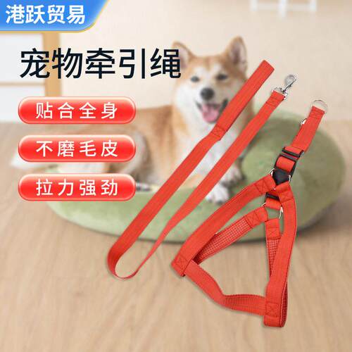 狗狗牵引绳中小型猫咪宠物狗透气背心式狗链家用遛狗防丢绳现货