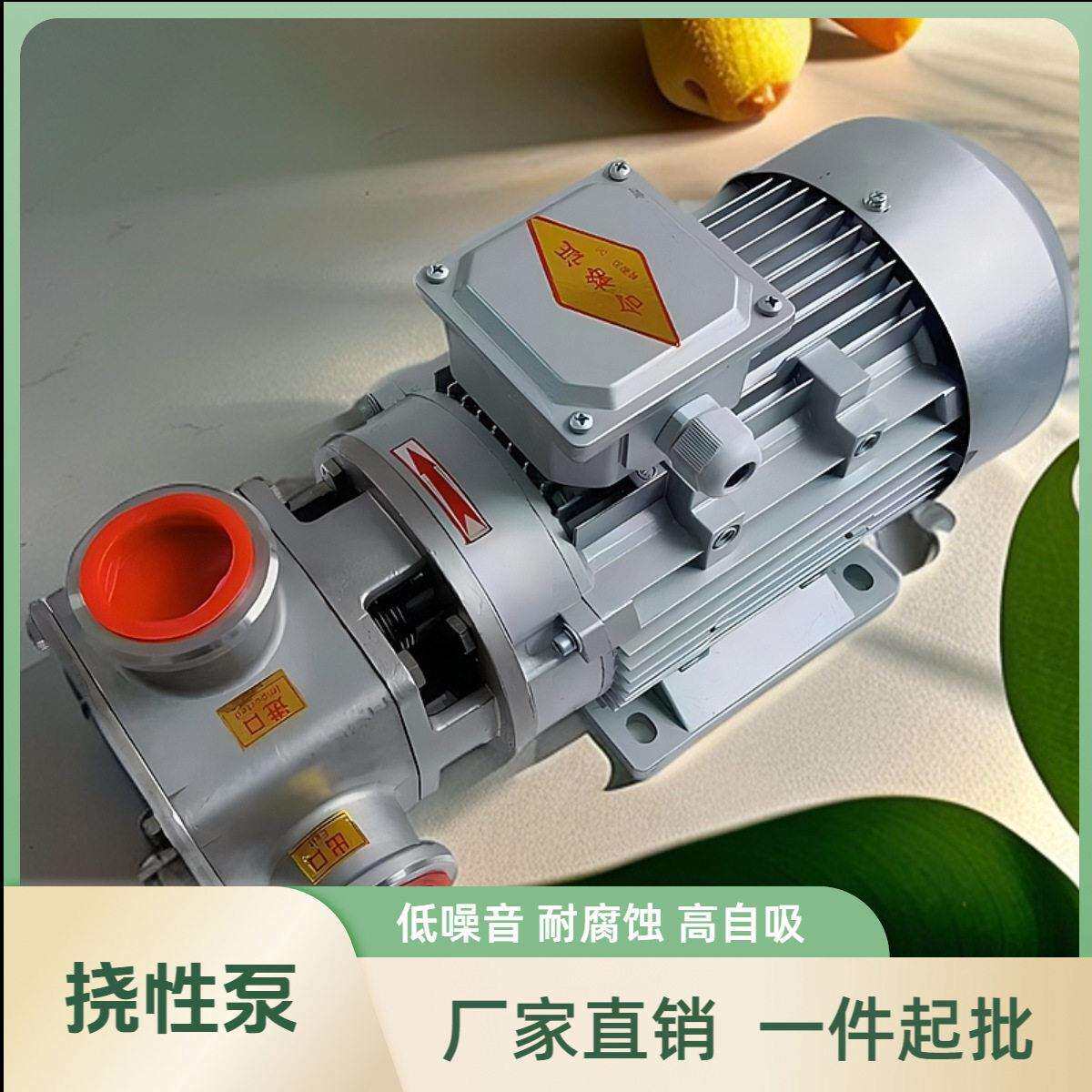 RXB不锈钢挠性泵柔性自吸转子泵RXB-15豆浆果汁挠性泵
