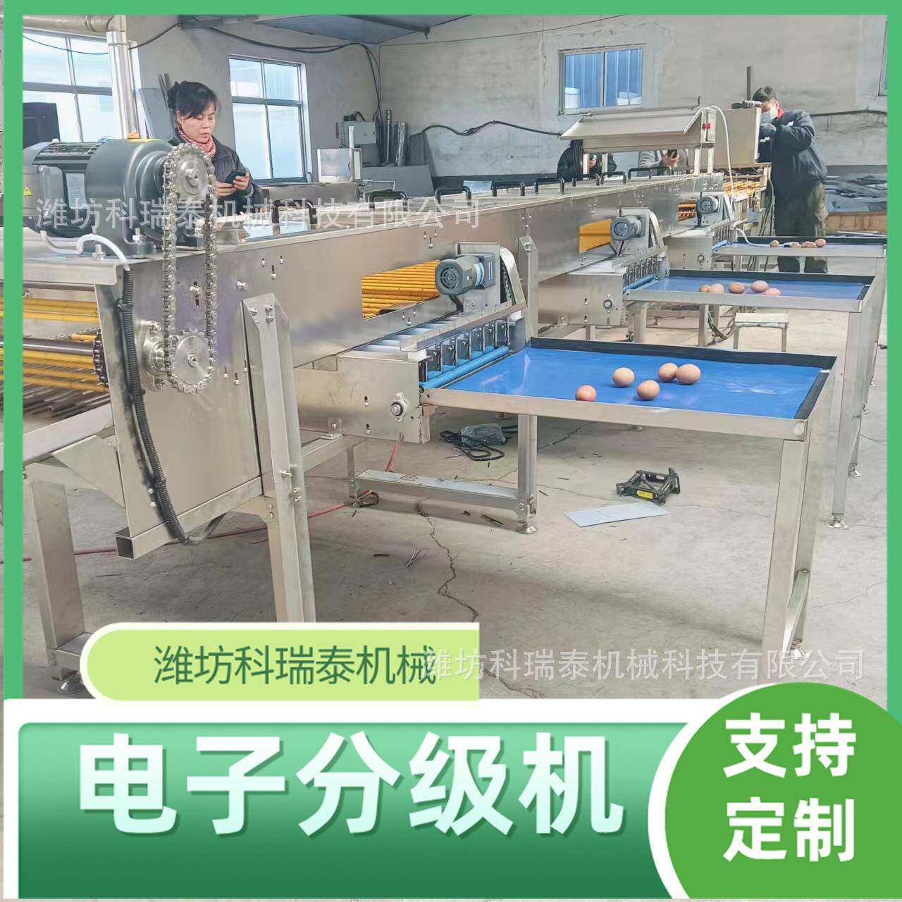 10000枚中小型蛋品分级机鸡蛋鸭蛋通用型简易电子分选机