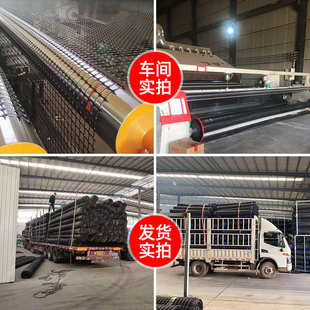 供应塑料网路加鸡舍圈地格栅公土工路基围墙厂家筋固网格围网