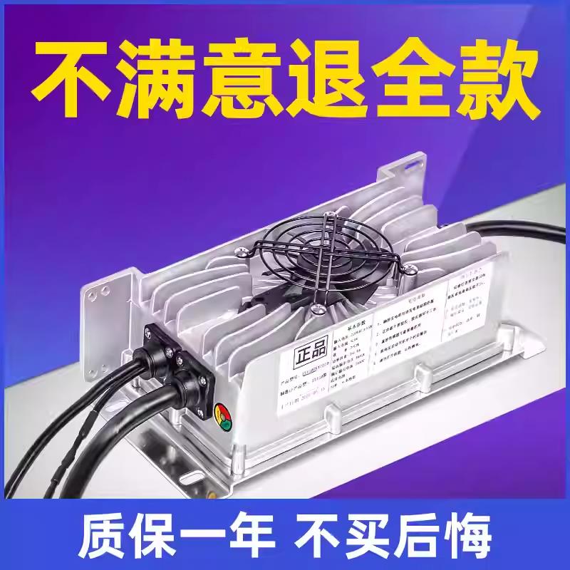 适用雷丁鸿日大阳比德文丽驰60V三元锂电池车载电动四轮车充电器