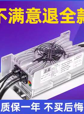 适用雷丁鸿日大阳比德文丽驰60V三元锂电池车载电动四轮车充电器