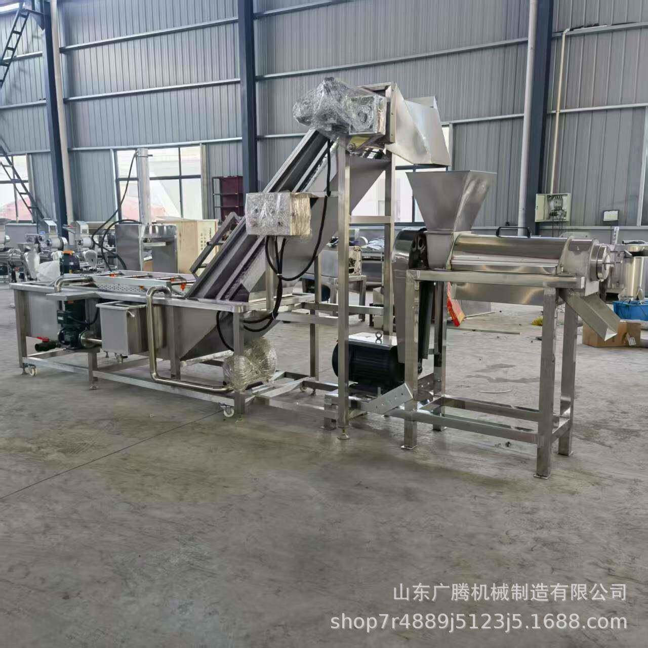 商用果汁果酒加工设备螺旋式葡萄鲜笋压汁机西梅青梅去核榨汁机