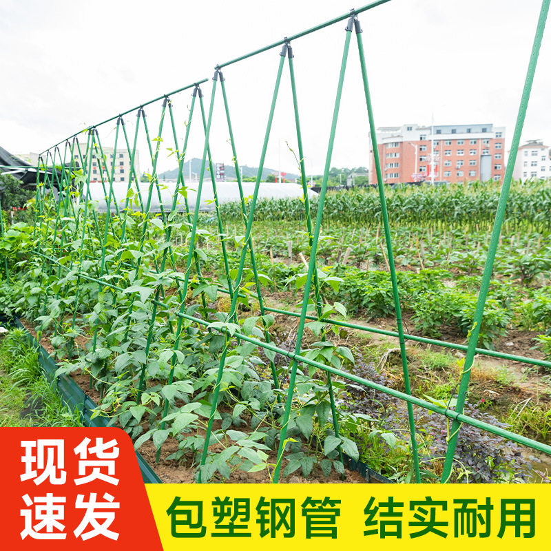 藤杆阳台庭院支撑园艺用品套装