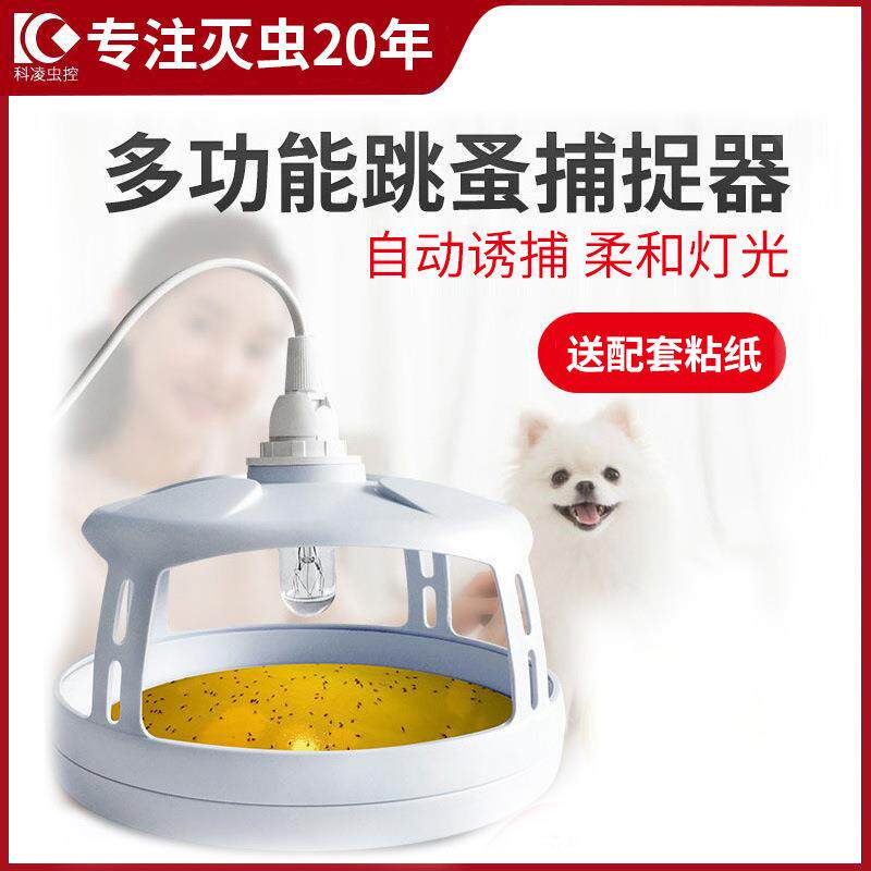 科凌虫控宠物家用跳蚤捕捉器飞蛾诱捕器杀灭跳蚤蛾蚊灯跳骚