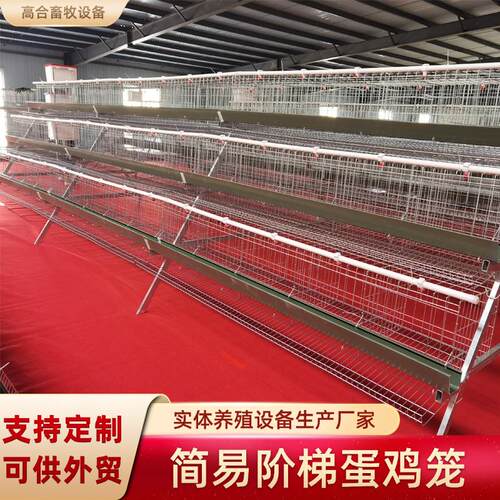 蛋鸡笼鸡笼热镀锌三层五门阶梯式蛋鸡笼绿食槽鸡舍养殖机械设备