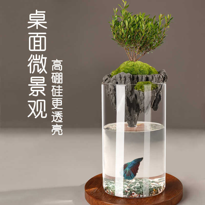 简约花瓶中古高级感玻璃瓶制品微景观生态瓶水培透明植物玻璃花瓶,家居饰品,花瓶,淘宝优惠券,粉丝福利购,淘宝优惠卷