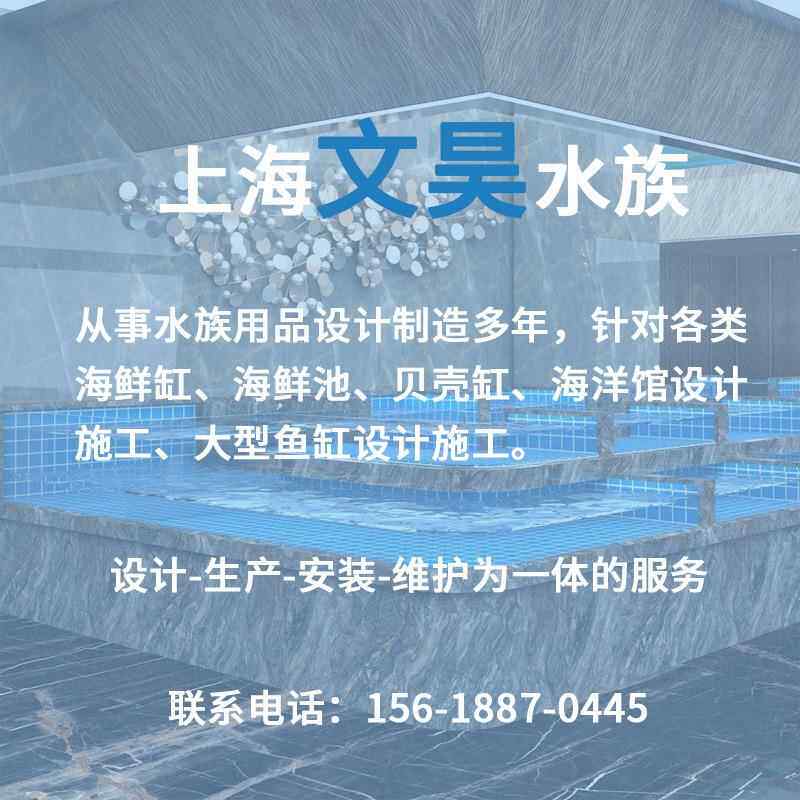 商超海鲜市场鱼缸鱼池施工厂家设计施工维护一条龙服务海鲜池加工