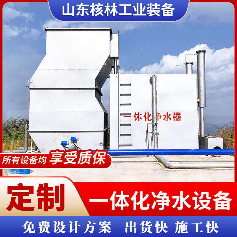 水库湖水一体化净水设备城镇自开水厂大型净水装置井水净化设备