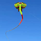 新年鳐鱼风筝3D立体无骨软体风筝超大巨型大型高档大人专用潍坊