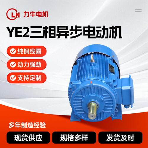 现货三相异步电机YE2-100L-2-3三相电动机纯铜线冷轧钢片电动机