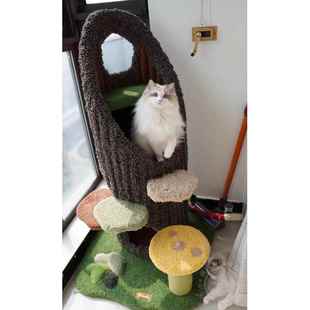正品现货Camiy2019绿绒野仙踪猫爬架l树猫屋毛猫窝猫仙居猫树洞猫