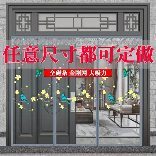 防蚊门帘大门三片两开大门家用磁性纱门纱窗磁吸纱帘自装入户门帘
