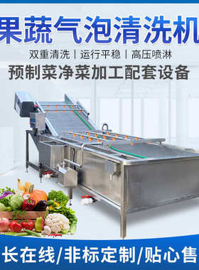 净菜气泡清洗机设备 叶类菜商用果蔬清洗机 高压喷淋气泡清洗机