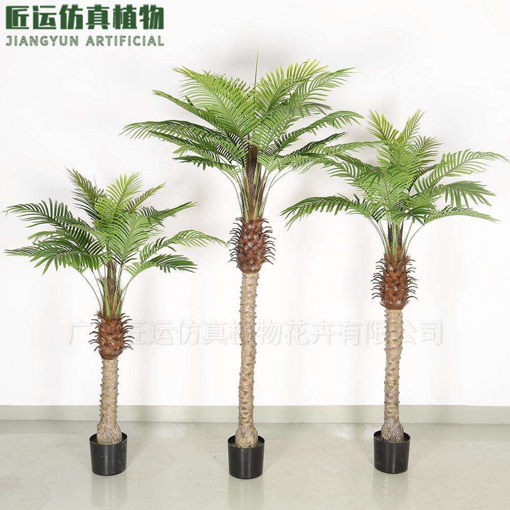 室内软装大型仿真针葵树植物盆栽 塑胶杆针葵树造景葵树仿生植物