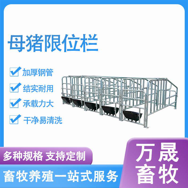 母猪定位栏带粪板落地式猪用限位栏加厚加密围栏热镀锌分娩仔猪栏