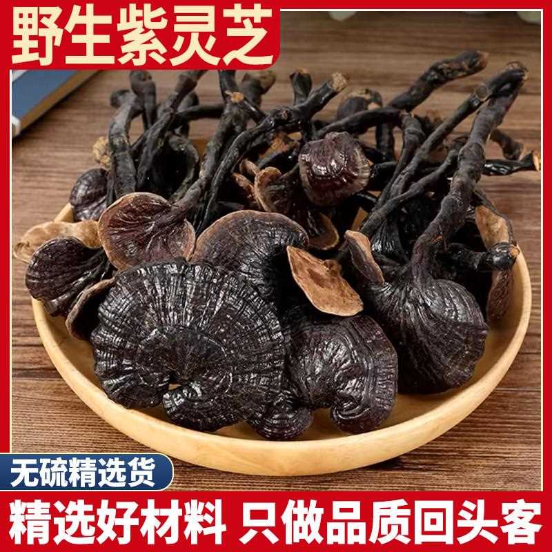 新疆包邮野生紫灵芝 500克 紫灵芝泡酒 紫芝林芝可切灵芝片干货
