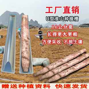 10公分宽加厚淮山U型种植槽横向生长引导槽PVC种植槽循环使用浅生