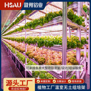 铝型材栽培框架 温室大棚育苗床植物种植架立体式组培架 上门组装