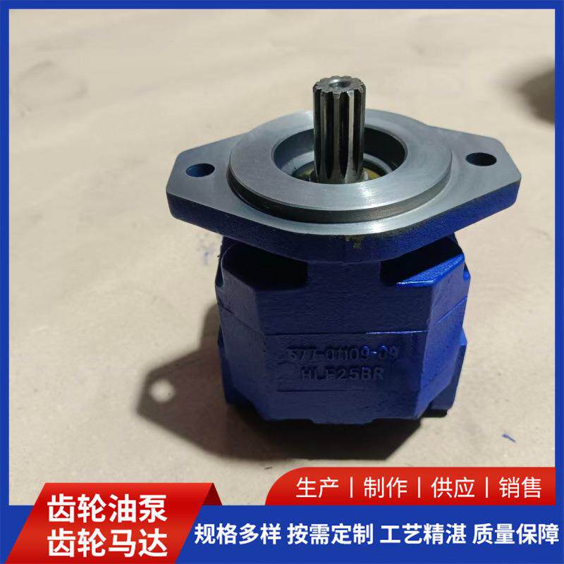 齿轮泵厂家P124A082RZA07-81压力稳定液压齿轮油泵啮合紧密