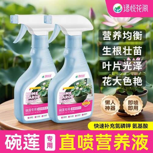 碗莲水培营养液水培植物莲花种子桌面盆栽种植小盆栽花草碗莲盆栽