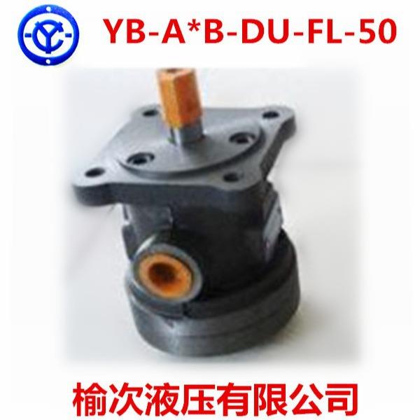 叶片式油泵YB-A6B-DU-FL-50榆次液压有限公司YB-A6B-DU-JL-50 A9B