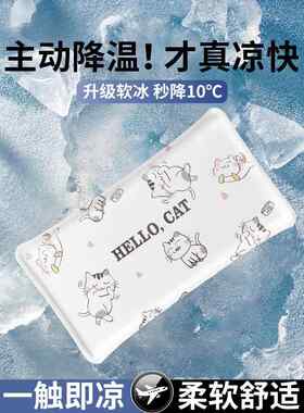 冰枕头儿童夏季宝宝婴儿免注水卡通水袋冰垫物理降温夏天降温神器