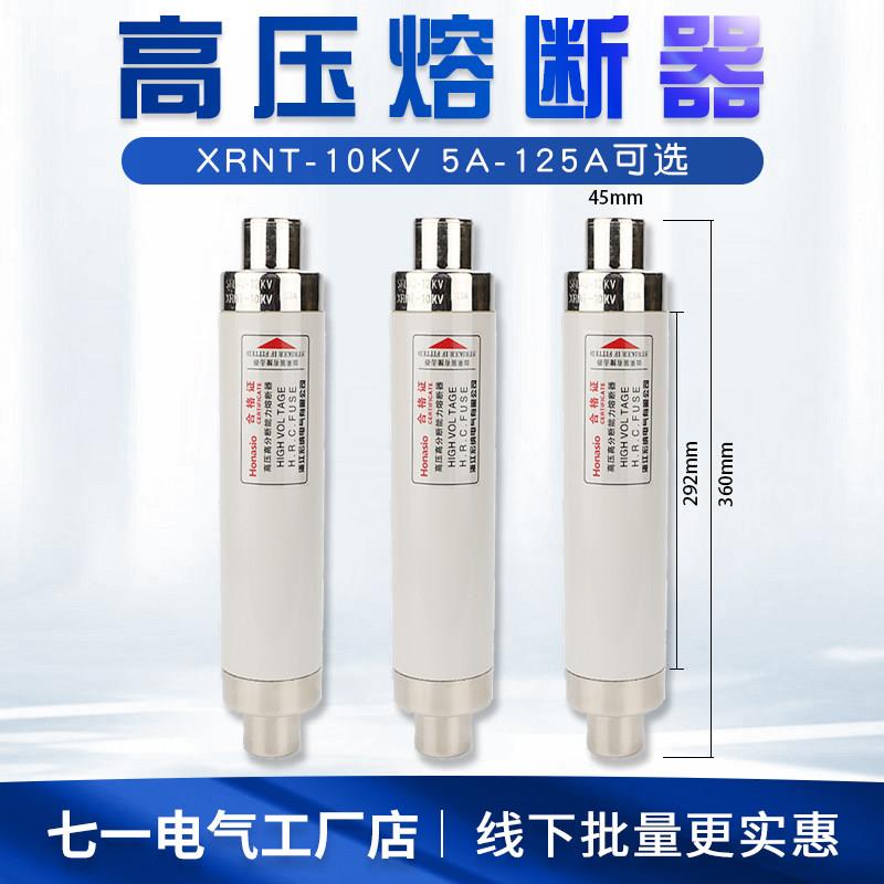 高压限流熔断器XRNT10-12KV10A20A40A50A63安80A100A箱变保险管丝