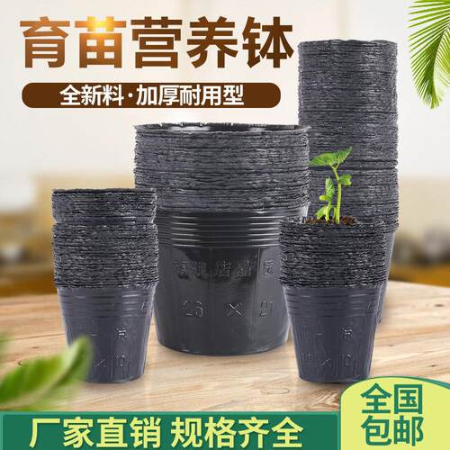 营养钵育苗盆营养杯育苗杯塑料育苗盘一次性加厚黑色营养袋育苗袋