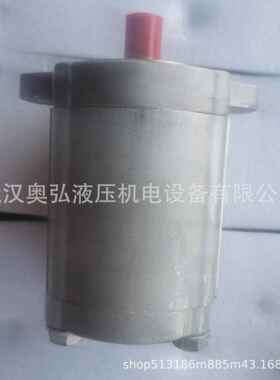 CK1-BIFXRMR四川长2江高压齿轮泵 吊车煤机设0备B液压泵维修柱塞