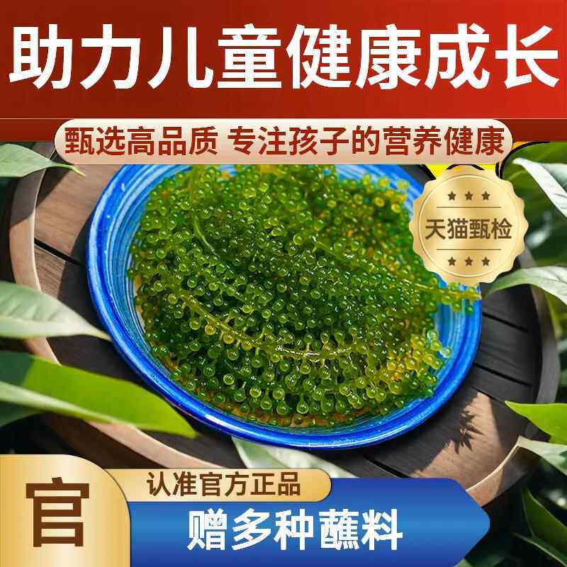 儿童海葡萄即食开胃菜绿色鱼子酱新鲜盐渍旗舰店小孩吃的健康零食