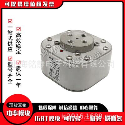 170M7098 170M7099 170M7100 170M7101巴斯曼熔断器170M7102现货