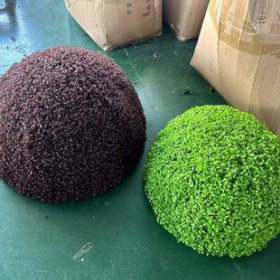 外井盖遮饰挡球装品空心大仿真草球米兰草61717球户绿植草球酒店