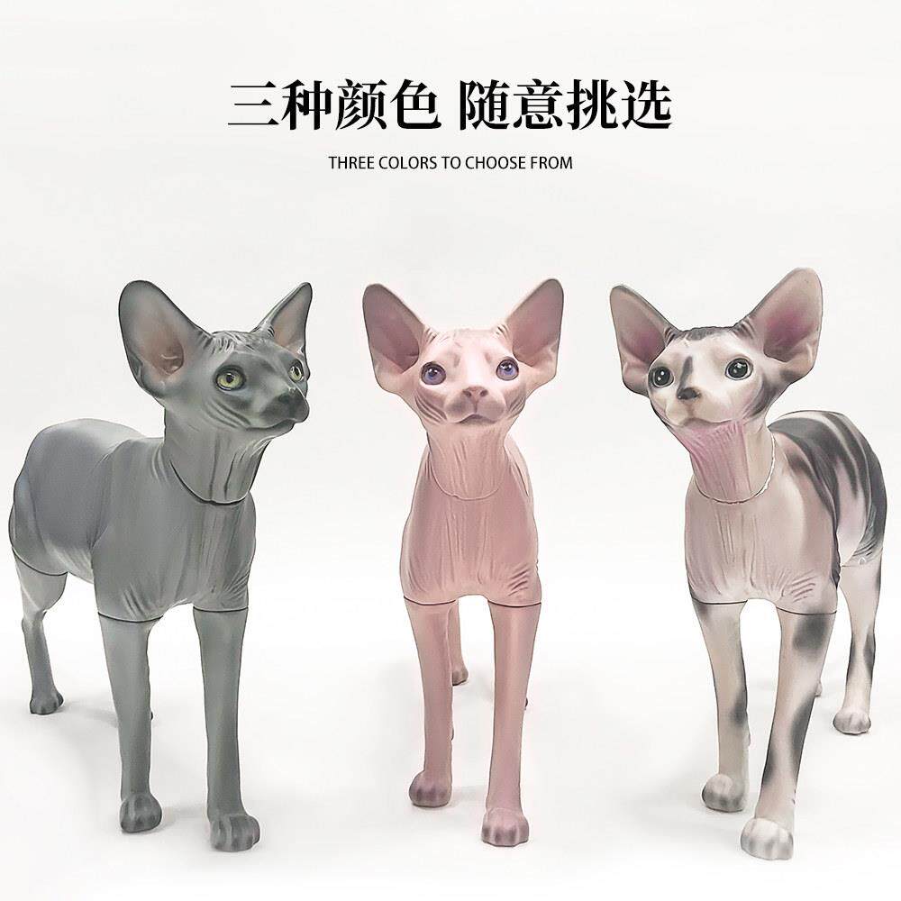 无毛猫模型可拆宠物道具猫狗衣服拍摄展示衣架模特斯芬克斯猫摆件