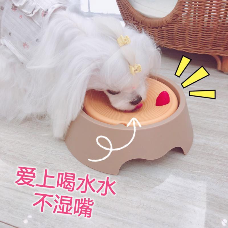 马尔济斯专用狗碗喝水器狗狗悬浮水碗不湿嘴水壶饮水器小型犬幼犬