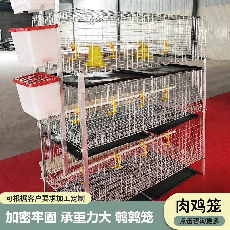 层叠式鹌鹑笼肉鸡笼养殖场鸡笼全套设备全自动清粪加重加粗厂家直
