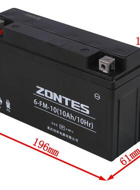 升仕 ZT310 启典KD150-UG1G2Z2GK摩托车6－FM－10/10Ah胶体电池