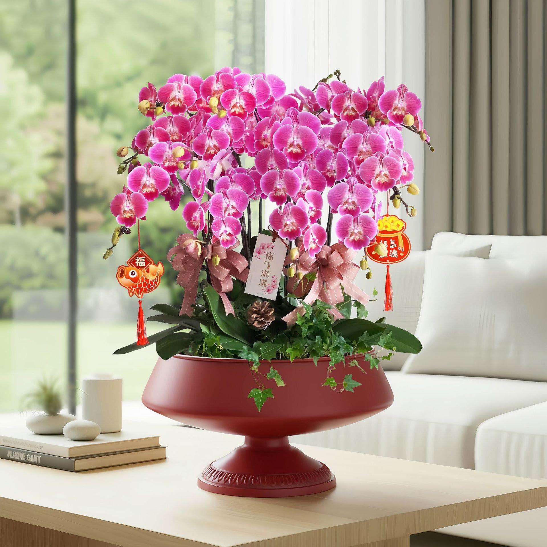 轻奢金色蝴蝶兰花盆红掌冬青假花年宵花福桶插花摆件聚宝盆花器