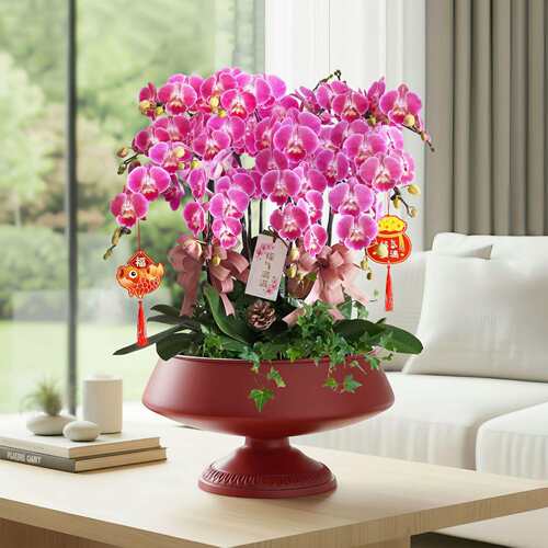 轻奢金色蝴蝶兰花盆红掌冬青假花年宵花福桶插花摆件聚宝盆花器