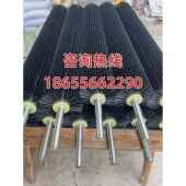 工业清洗机毛刷辊滚筒刷玻璃除尘专用圆柱圆形小型毛刷辊定制定做