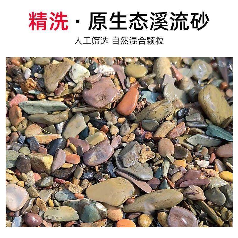 天然溪流沙乌龟小鱼雷龙虾虎鱼草缸水族箱原生态造景装饰底溪流沙
