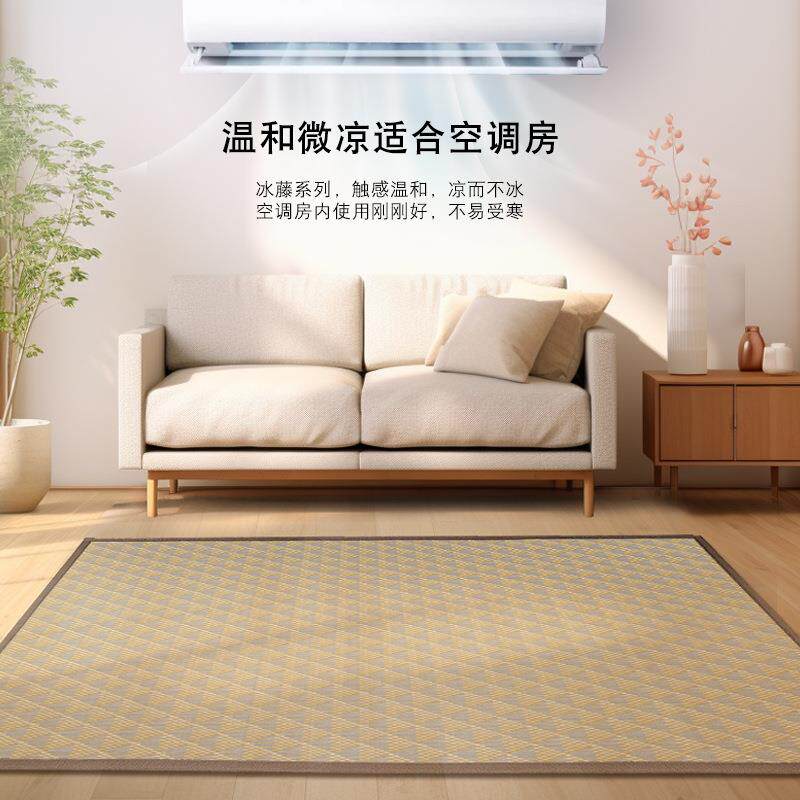 夏天凉席地垫子客厅打地铺垫加防摔卧毯室床边地无儿童厚爬行垫凉