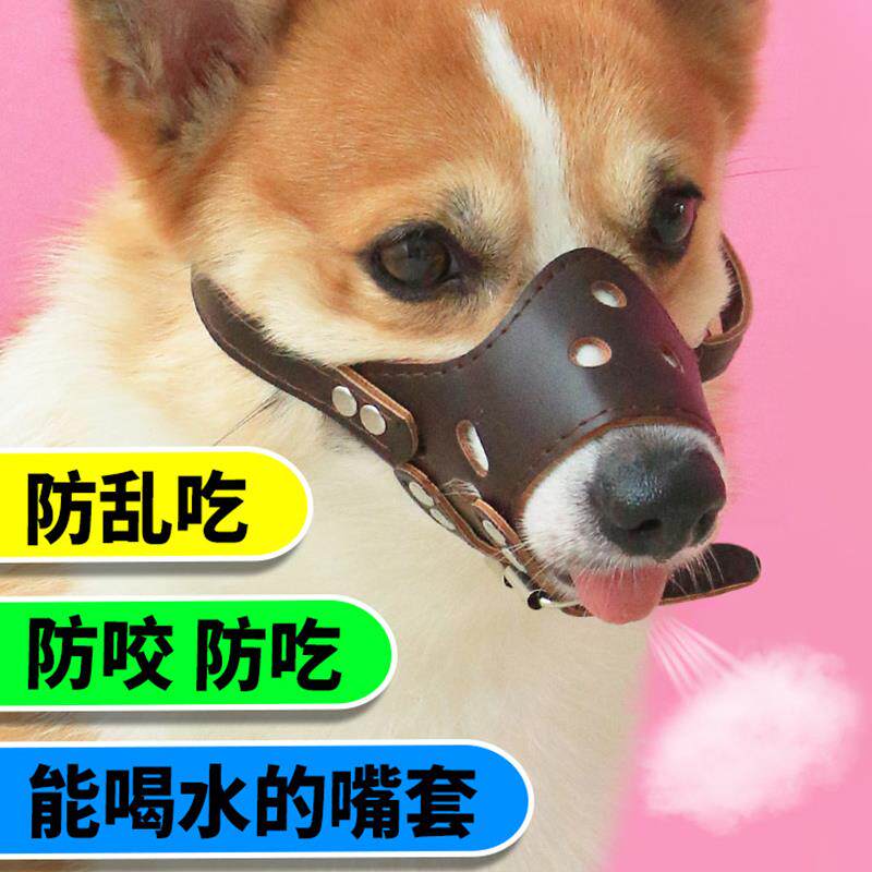 宠物狗嘴套防咬狗罩嘴罩嘴巴套口罩防叫防乱吃防舔柯基用品防咬人