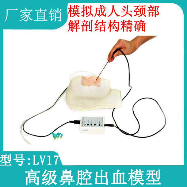 高级鼻腔出血模型鼻子出血严症护理培训护士鼻子简易止血法烧灼