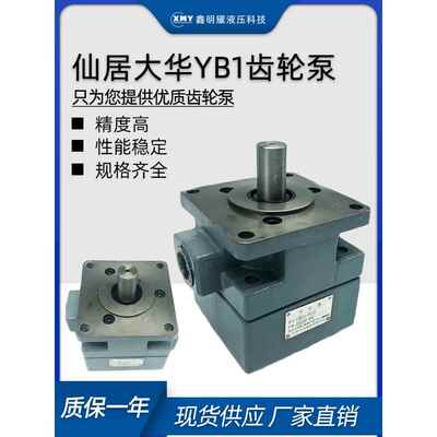 适用仙居大华液压叶片泵yb1-10齿轮泵油泵YB1-100/16/20/25/32/80