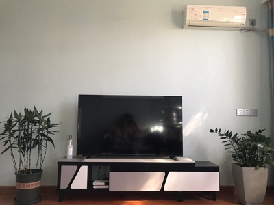 高人气款：三星UA55RU7520JXXZ与东芝55U5850C哪款好点？都有声控功能吗