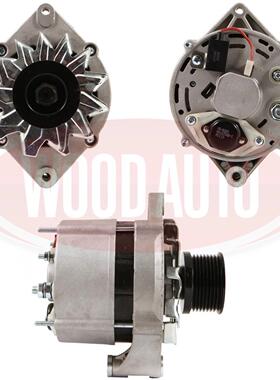 B120402275发电机F005A00022发电机适用康明斯发电机