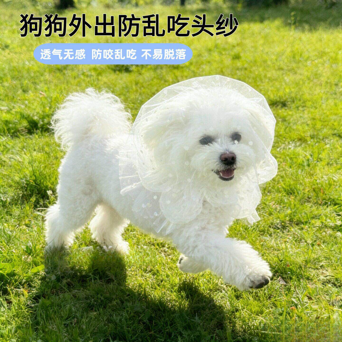 狗狗防乱吃头套防误食嘴套透气户外防偷吃头纱猫咪面罩宠物口罩